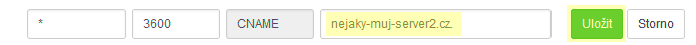 Úprava a uložení hvězdičkového (*) CNAME záznamu