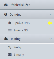 Položka Správa DNS